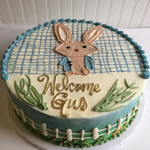 Peter Rabbit Welcome Baby Cake