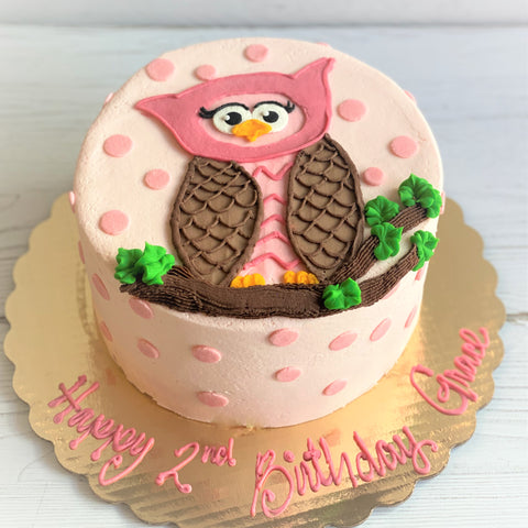 Pink Hoot Owl Cake