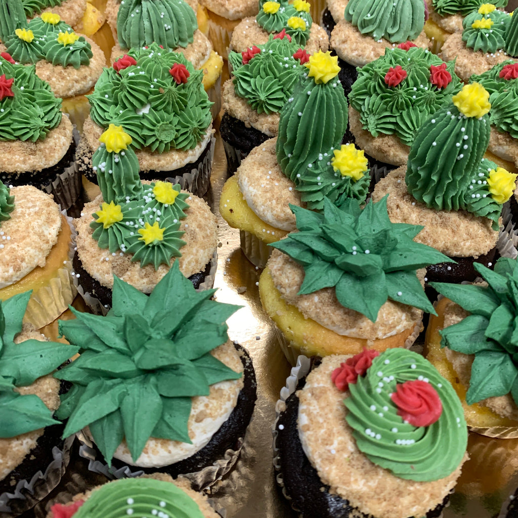 Cactus Succulents Cupcakes
